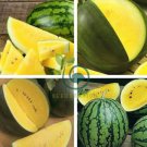 Heirloom Yellow Flesh Janosik Watermelon 20 seeds
