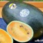 Yellow / Black Skin Watermelon with red meat 40 seeds