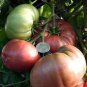 Heirloom Small Bright Purple Tomato 200 seeds