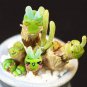 Monilaria Obconica Bunny 200 seeds