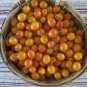 Sunrise Bumble Bee Tomato Sweet Tangy Fruit  200 Seeds
