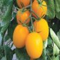 Roma Yellow Little Tomato Plant 40 seeds