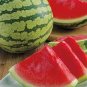 Long Black Sweet Juicy Water Melon 20 seeds