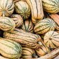Delicata Little Sweet Squash Organic 20 Seeds