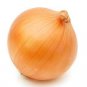 Allium Cepa Yellow Round Onions Vegetables 2000 Seeds