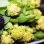 Broccoli - Early White Sprouting Green Vegetable 240 Seeds
