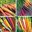 Mix Carrot Seeds, Six Varieties Fresh Heirloom Organic Vegetable 4000 Seeds