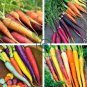Mix Carrot Seeds, Six Varieties Fresh Heirloom Organic Vegetable 4000 Seeds