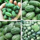 Mexico Miniature Watermelon 4 Seeds