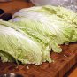 Green Yellow Chinese Cabbage Organic 200 Seeds