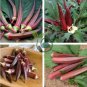 Red Okra Organic 24 Seeds