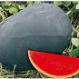 Sweet giant Black skin watermelon 200 Seeds