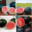 Black Diamond Watermelon 100 Seeds