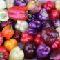 Fresh Mix Sweet Bell Pepper 40 Seeds