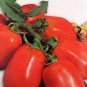 Colorful F2 Big Tomato 600 Seeds