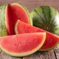 Big Pink Watermelon Improved 40 Seeds