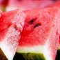 Big Pink Watermelon Improved 40 Seeds
