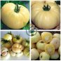 Rare Belyy Giant White Beefsteak Tomato 200Seeds