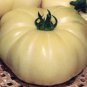 Rare Belyy Giant White Beefsteak Tomato 200Seeds