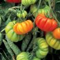 Heirloom Rare Mexican Silly Tomato Hybrid  200 Seeds