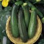 British Summer Courgette Hybrid F1 20 Seeds