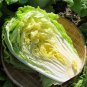 Fresh Chinese Baby Cabbage Vegetable 20 Seeds