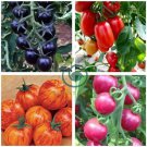 TM Mixed Heirloom 9 Types Edible Cherry Tomato 200 Seeds