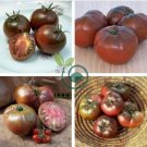 Tomato Large Black Organic Vegetables 200 Seeds