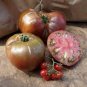 Tomato Large Black Organic Vegetables 200 Seeds