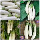 Long White Eggplants 40 Seeds