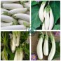 Long White Eggplants 40 Seeds