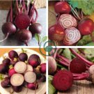 Radish Violet Round Vegetable 300 Seeds