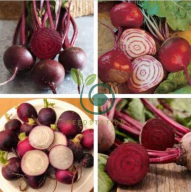Radish Violet Round Vegetable 300 Seeds