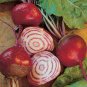 Radish Violet Round Vegetable 300 Seeds