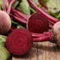 Radish Violet Round Vegetable 300 Seeds