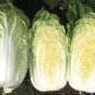 Chinese Cabbage Autumn Vegetables 20 Seeds