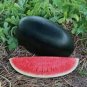 Watermelom Black Skin Fresh Red Inside Big Melon 44 Seeds