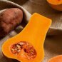 Sweet Pumpkin 10 Seeds