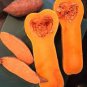Sweet Pumpkin 10 Seeds