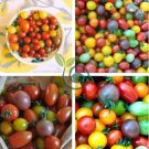 Mixed 10 Varieties of Colorful Cherry Tomato 20 Seeds