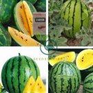 'Jin Huabao' Gift Yellow Watermelom 280 Seeds