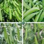 Organic Green Pea 20 Seeds