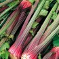 Apium Graveolens Red Stem Celery Vegetable Hybrid 60 Seeds