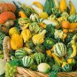 'Diamon' Pumpkin Ornamental Edible Vegetable 16 Seeds