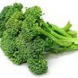 Organic Green Broccoli Vegetable 200 Seeds