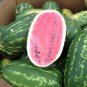 High Yields Legacy Long Red Watermelon 40 Seeds