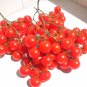 Riesentraube Cherry Tomato 200 Seeds