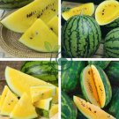 Watermelon Yellow Skin 200 Seeds