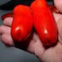 Rare Auria Adam Tomato Hybrid 200 Seeds