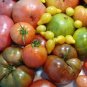 Super Surprise Mix Tomato 200 Seeds